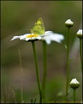 DigitalScape Photography Images